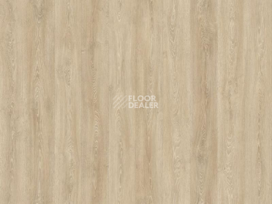 Линолеум IVC Porto Sauder oak w30 фото 1 | FLOORDEALER